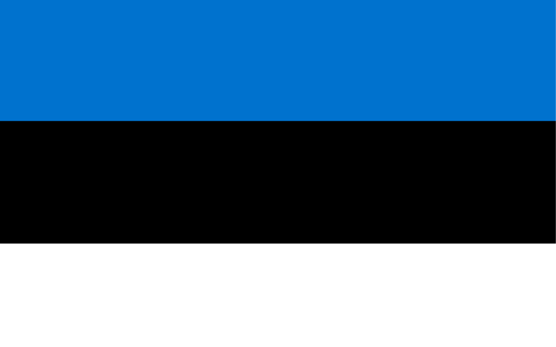 Estonia Flag 3